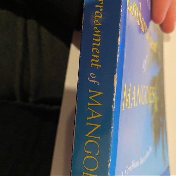 An Embarrassment of Mangoes: A Caribbean Interlude by Ann Vanderhoof - Picture 4 of 5